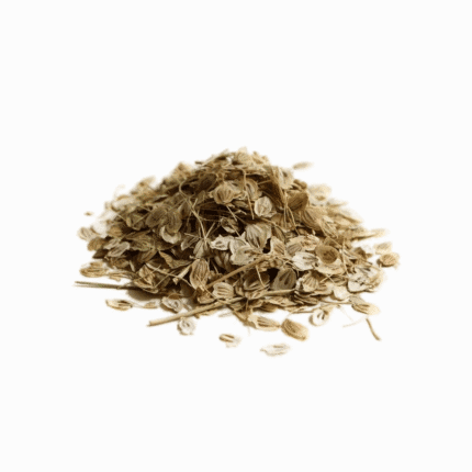 Organic dried dill seeds for natural digestive support and healthy wellness nutrition.