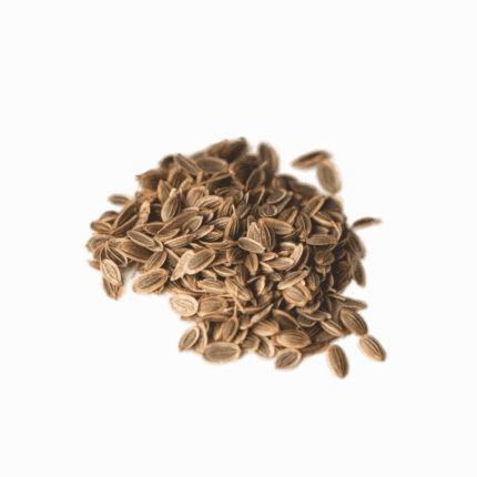 A pile of dried organic dill seeds, representing high-quality organic products for a natural health lifestyle.
