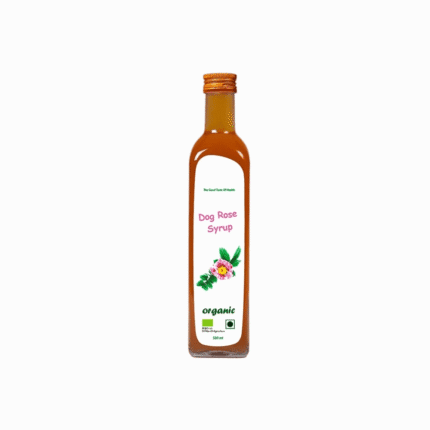 Hagebuttensirup 1 umgewandelt 1