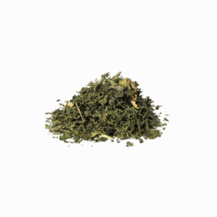 Dried green Stinging nettles leaves for natural health, showcasing high-quality organic products and a wellness lifestyle.