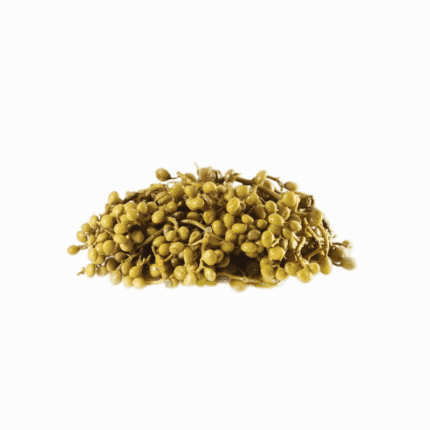 Pickled Pistacia atlantica berries, high-quality organic products for a natural health and wellness lifestyle.