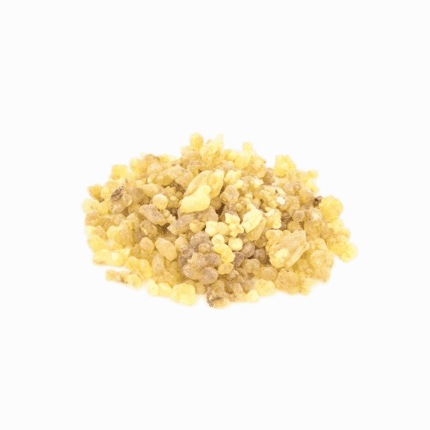 Granules of high-quality organic Pistacia atlantica gum resin for natural health and a wellness lifestyle.