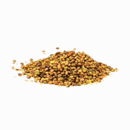 Heap of raw Atlantic Pistachio Kernels, a high-quality organic product supporting a wellness lifestyle and natural health.