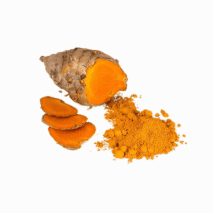 Fresh turmeric root slices and organic powder for natural health and a holistic wellness lifestyle.