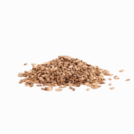 A pile of organic milk thistle seeds, used in natural herbal remedies for liver health and wellness support.