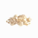 White tragacanth gum flakes, part of our high-quality organic and conventional products for a natural health lifestyle.