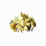 Dried yellow mallow flowers for a natural health lifestyle, featuring high-quality organic and conventional products.