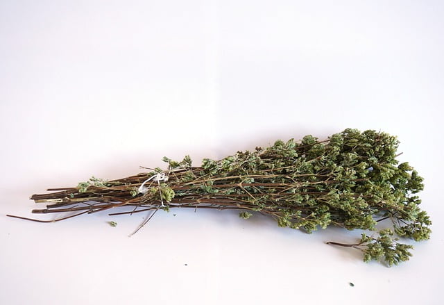 Herbs wholesale price