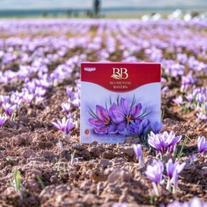 Blumental Bayern Safrankiste inmitten eines Krokusfeldes – hochwertige Bioprodukte für einen natürlichen, gesunden und gesunden Lebensstil.