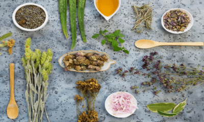 Selection of dried herbs and aloe vera, highlighting high-quality organic products for a natural health lifestyle.