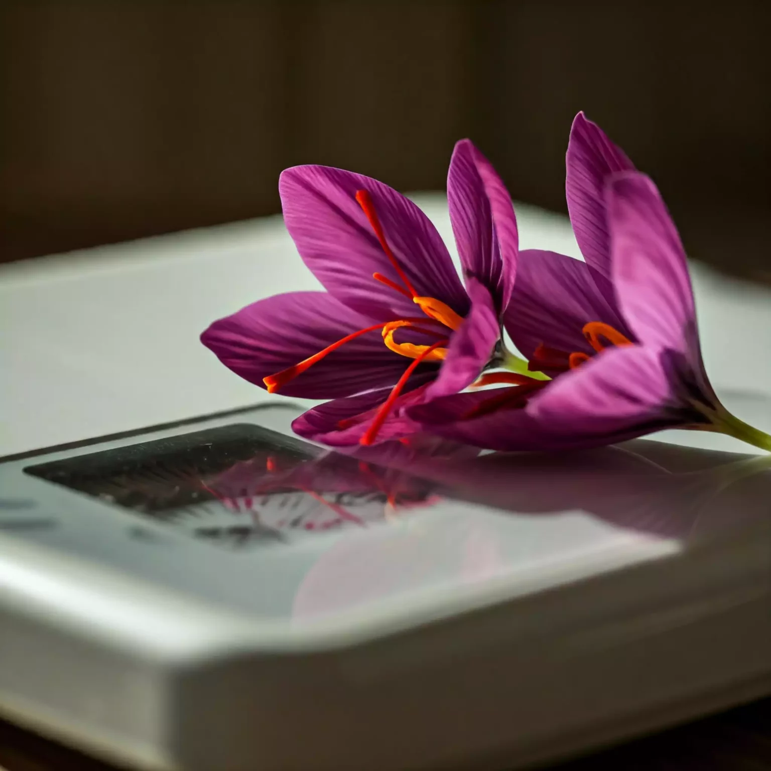 saffron and weight loss