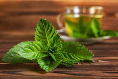 Fresh mint leaves on a wooden table with herbal tea, showcasing organic products for a natural health and wellness lifestyle.
