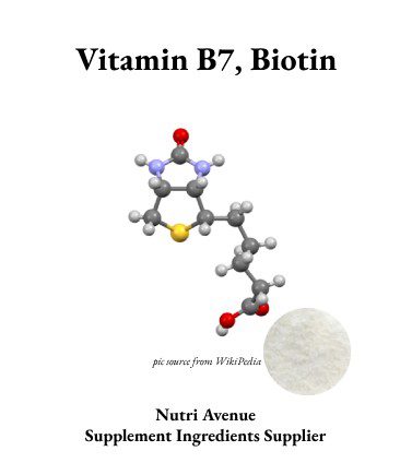Biotin-Pulver-Großhändler | Vitamin B7-Großhändler