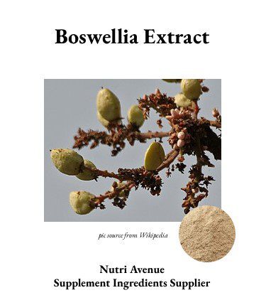 Boswellia-Extrakt-Pulver – Großhändler | Boswellia Serrata-Extrakt (lose)