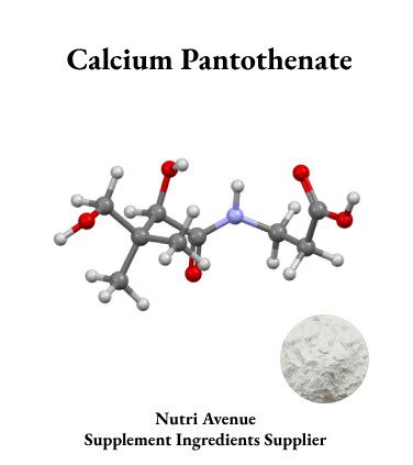 D-Calciumpantothenat-Pulver – Großhändler | Vitamin B5 – Hauptbestandteil