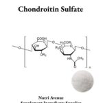 Eine Abbildung mit dem Titel „Chondroitinsulfat“, die ein chemisches Strukturdiagramm des Polysaccharids und eine kleine kreisförmige Einlage zeigt, die das Produkt als feines weißes Pulver darstellt.