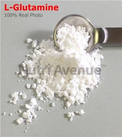 Eine Nahaufnahme zeigt ein weißes, pulverförmiges L-Glutamin-Präparat auf einer grauen Oberfläche. Ein Messlöffel aus Metall entnimmt etwas davon. Der Schriftzug „L-Glutamin“ in Rot und ein Wasserzeichen von „NutriAvenue“ sind erkennbar.