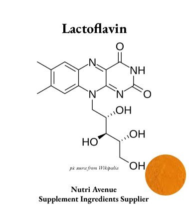 Großhändler für Lactoflavin-Pulver (Vitamin B2) | Riboflavin-Pulver im Großhandel