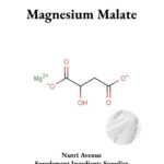 Ein Bild zeigt den Text „Magnesiummalat“ über einem chemischen Diagramm der Verbindung, das ein Magnesiumion neben einem Malatmolekül darstellt. Ein kleiner kreisförmiger Ausschnitt unten rechts zeigt ein weißes Pulver, und am unteren Rand ist der Text „Nutri Avenue Supplement Ingredients Supplier“ aufgedruckt. 