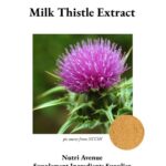 Eine Abbildung zeigt eine violette Mariendistelblüte mit stacheligen grünen Blättern, die ein Mariendistel-Extraktprodukt symbolisiert. Ein kleiner runder Ausschnitt zeigt das hellbraune Extraktpulver. Der Text lautet „Mariendistel-Extrakt“ und „Lieferant von Nahrungsergänzungsmitteln für Nutri Avenue“.  