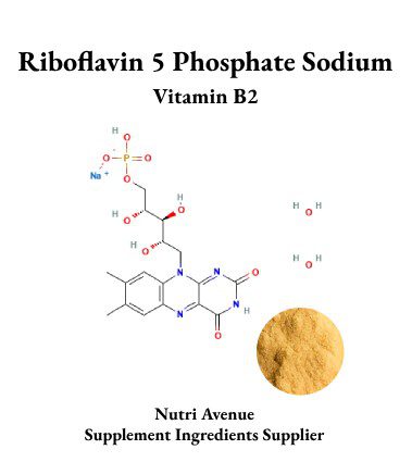 Riboflavin-5-phosphat-Natrium-Großhändler | Aktives Vitamin B2-Pulver
