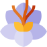 saffron (1)
